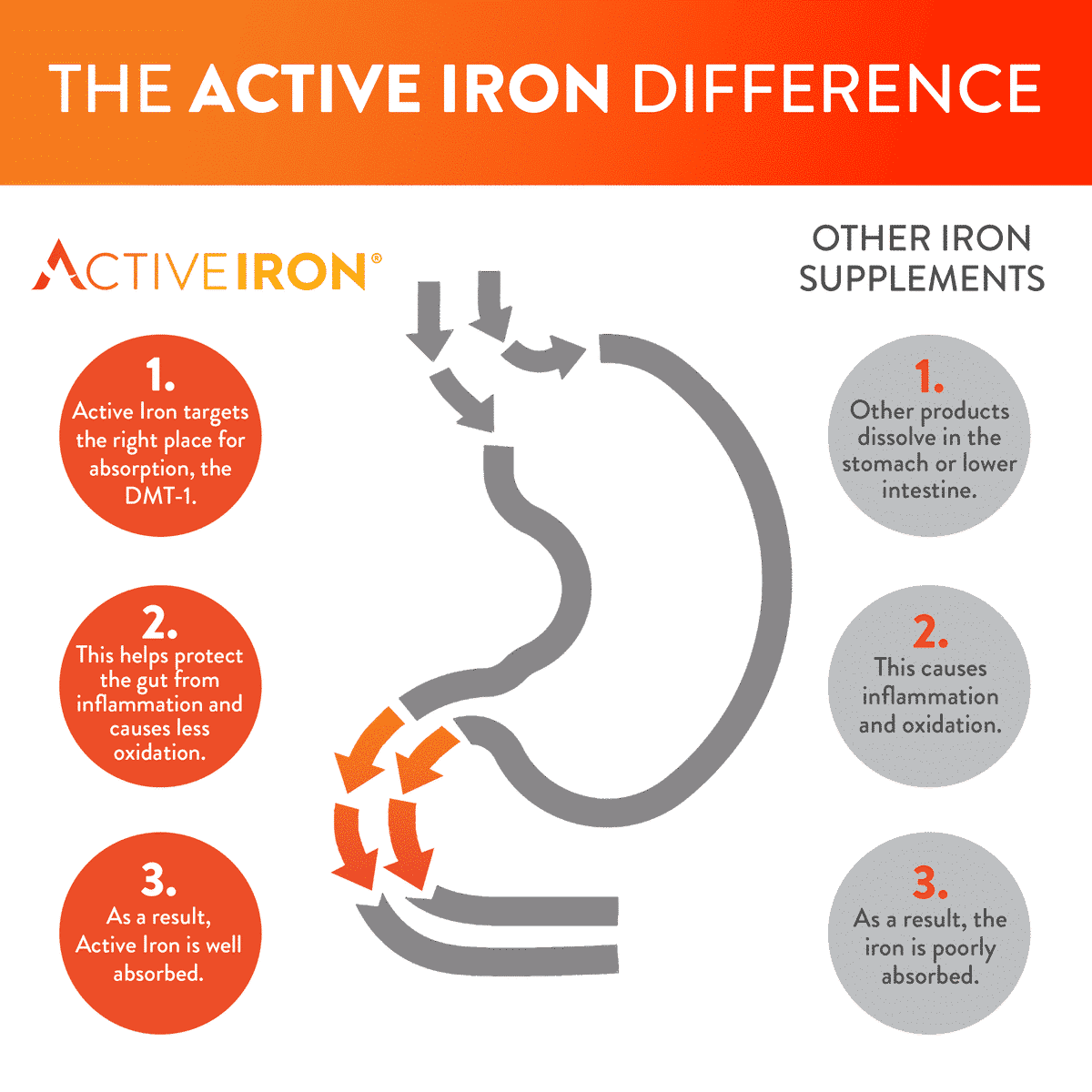 Active Iron