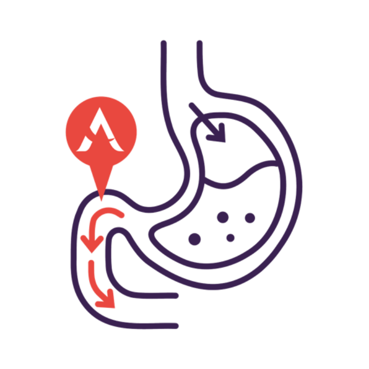 Active Iron site of absorption Active Iron site of absorption