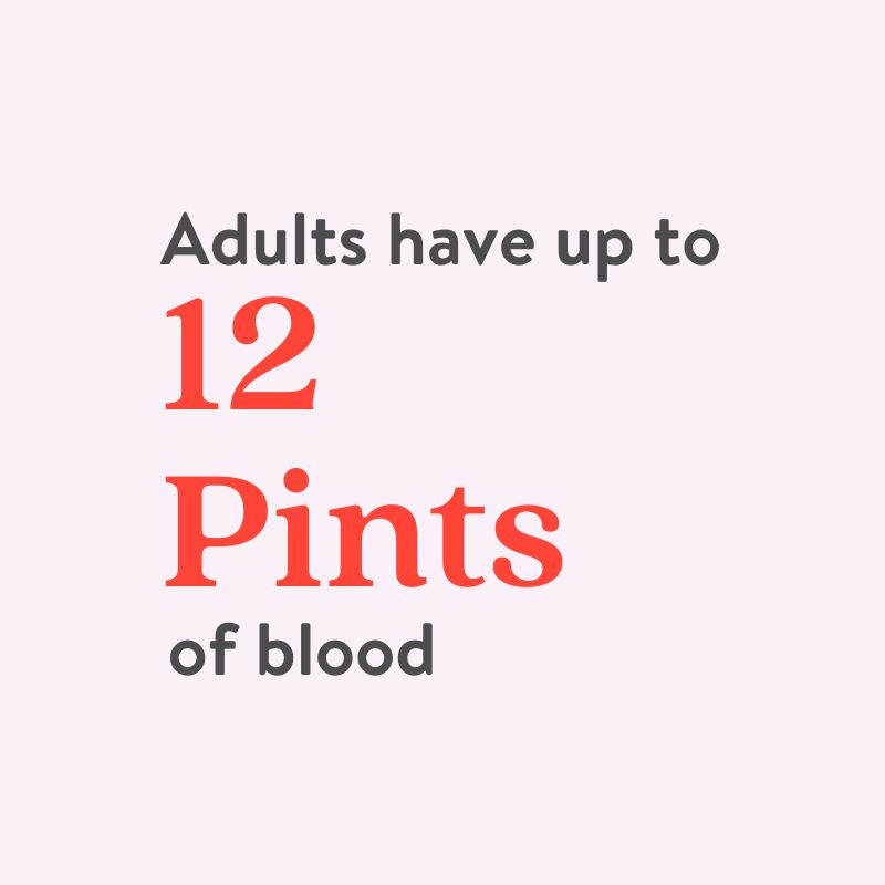 12 Pints of Blood