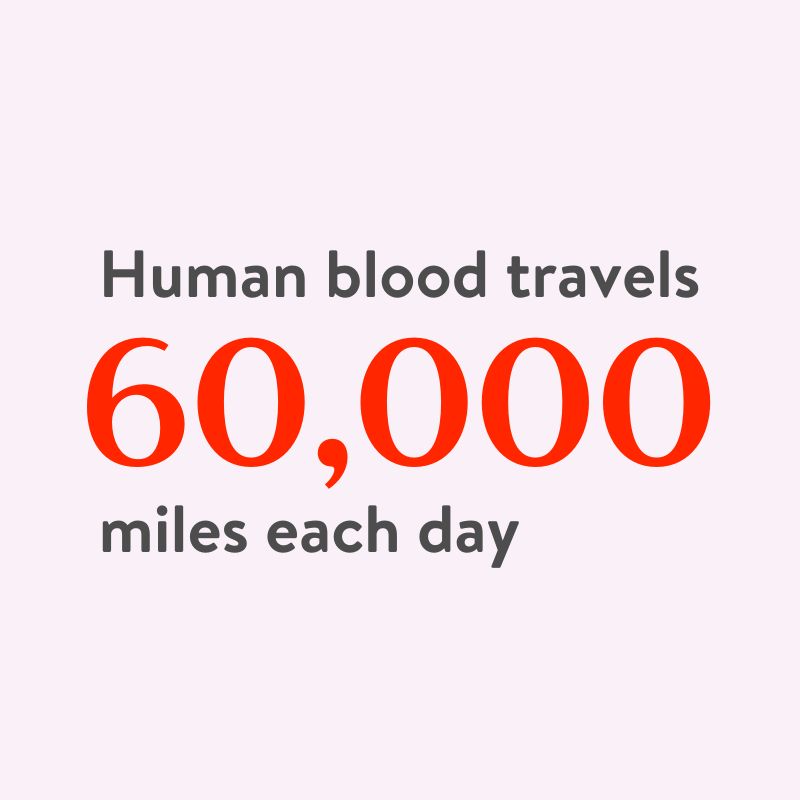 Blood Travels 60K Miles