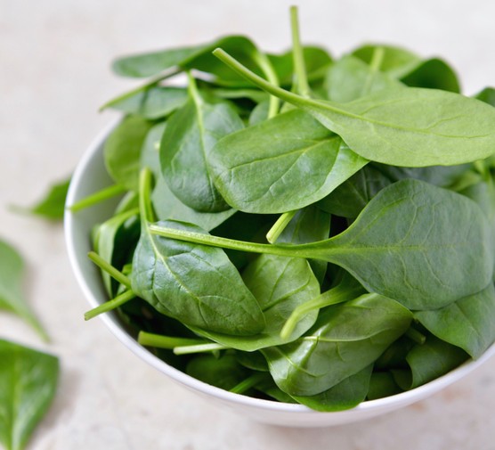 Close-Up Of Green Leaves